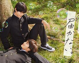 色色天堂网海报剧照